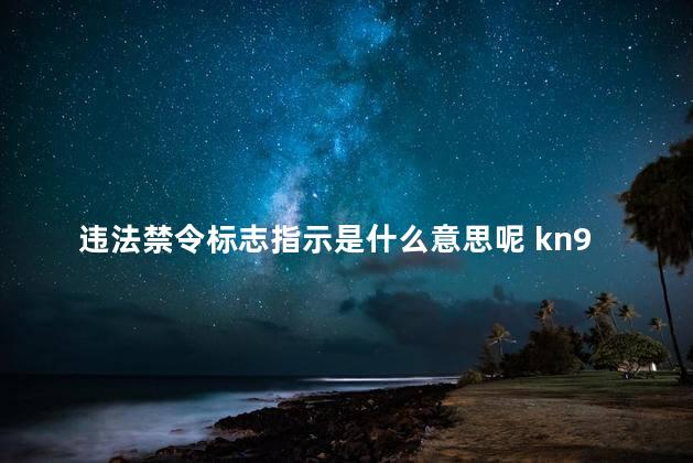 违法禁令标志指示是什么意思呢 kn95是什么口罩